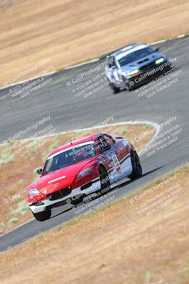 media/May-06-2023-Lucky Dog Racing (Sat) [[8f2256f436]]/Turn 2 10a/